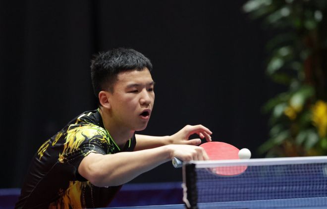 防线的组织 防线的组织